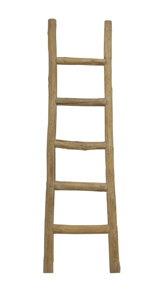 Elm Ladder